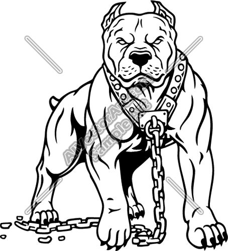 Chain Vector, Pit Bull Drawing, Pitbull Drawing, Bulldog Drawing, Pitbull Puppies For Sale, Pitbull Tattoo, Dynamo Dresden, Cool Tattoo Drawings, Pitbull Art