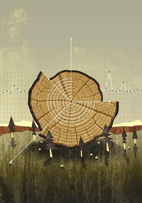 Forest management infographic by Michæl Paukner. Senior Design, Forest Management, Infographic Inspiration, Acid Rain, Data Visualization Design, Data Design, Timeline Design, Concept Diagram, Freelance Graphic Design