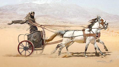 Metaphor Tattoo, Chariot Drawing, Medieval Wagon, Greek Chariot, Horse Transportation, Horse And Chariot, Chariot Racing, Roman Chariot, Roman Myth