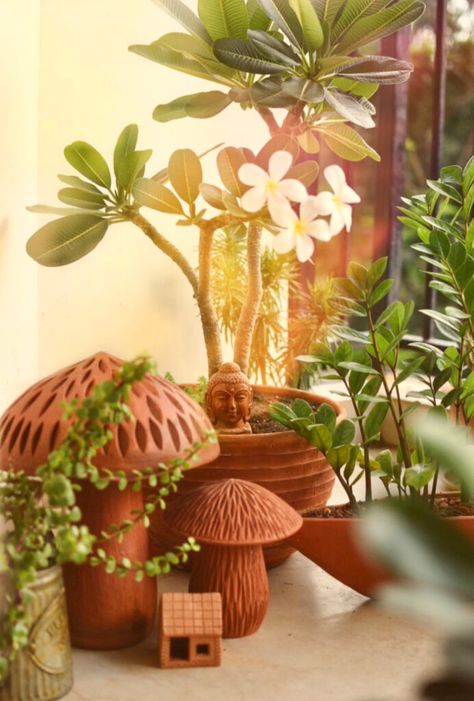 Money Plant Decor, Vintage Living Room Ideas, May Produce, Plant Display Ideas, Indoor Oasis, Indian Room Decor, India Home Decor, Trendy Plants, Indian Colours