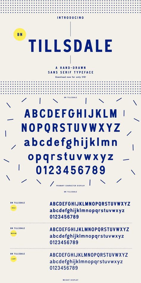 BN Tillsdale, a new hand-drawn sans-serif font family San Serif Fonts Typography, Modern Sans Serif Logo, Sans Serif Fonts Alphabet, San Serif Logo, Sans Serif Fonts Typography, San Serif Typography, Serif Branding, Sans Serif Logotype, San Serif Fonts