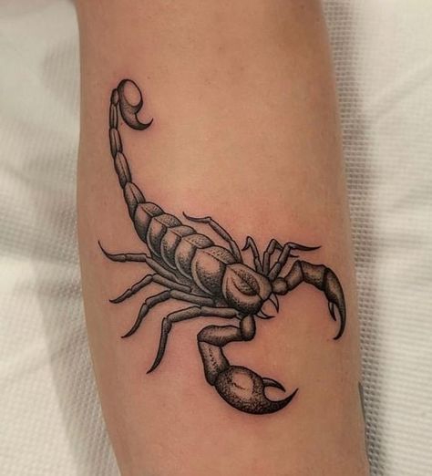 Tattoos Powerful, Tatuaje Cover Up, Scorpion Tattoos, Bauch Tattoos, Scorpio Tattoo, Scorpion Tattoo, Meaningful Tattoos For Women, Muster Tattoos, Tattoo Graphic