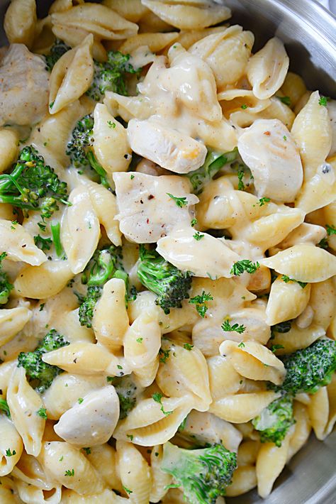 Cheesy Chicken & Broccoli Shells - My Incredible Recipes Chicken Broccoli Shells, Chicken Shells, Healthy Breakfast Diet, Shell Pasta Recipes, Cheesy Chicken Broccoli, Yummy Chicken, Broccoli Pasta, Yummy Chicken Recipes, Food Dinner