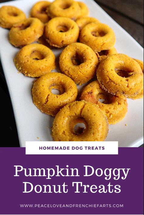 Dog Donuts Recipe, Donuts For Dogs, Feral Dog, Dog Treats Homemade Pumpkin, Baby Treats, Pumpkin Doughnut, Easy Dog Treat Recipes, Donut Day, Healthy Donuts