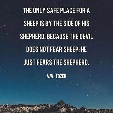 Good Shepherd Quotes, Sheep Quotes, Sheep Quote, Shepherd Quotes, Good Shepherd, A Sheep, The Sheep, God Quotes, The Shepherd