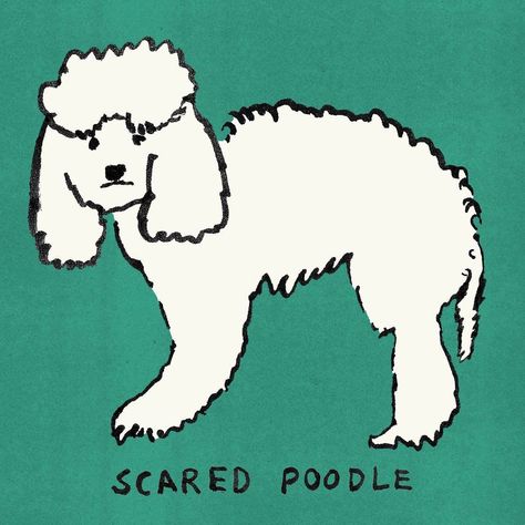 Karin Meenen on Instagram: “Scared Poodle 🐩 #dogillustration #poodleillustration #pudelillustration #hundeillustration #hundezeichnung #puppyillustration #scareddog…” Scared Dog Drawing, Fur Illustration, Poodle Illustration, Scared Dog, Dog At Home, Party Animal, Dog Illustration, Home Alone, Dog Drawing