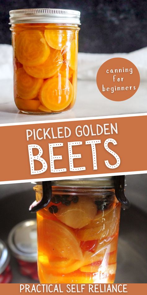 Beets Canning, Pickled Golden Beets, Easy Pickled Beets, Golden Beets Recipe, Healthiest Vegetables, Pickled Beets Recipe, Beets Recipe, Prepper Food, Pressure Canning Recipes