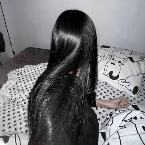 Black Hair Pale Skin, Silky Black Hair, Long Straight Black Hair, Shiny Black Hair, Hair Pale Skin, Sacha Inchi, Black Hair Aesthetic, Straight Black Hair, Black Hair Dye