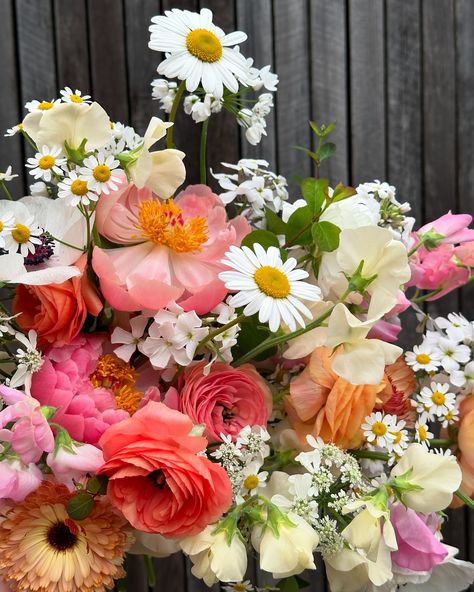 All the juicy colour for E & L in early May. Filled with sweet peas, daisies, sweet rocket, calendula, ranunculus and peonies. All the good stuff 🍑 . . . . #elderandwild #bridalbouquet #nottinghamflorist #weddingflowers Peonies And Daisies, Sweet Rocket, 23rd Birthday, Sweet Peas, Ranunculus, Nottingham, Sweet Pea, Peas, Bridal Bouquet