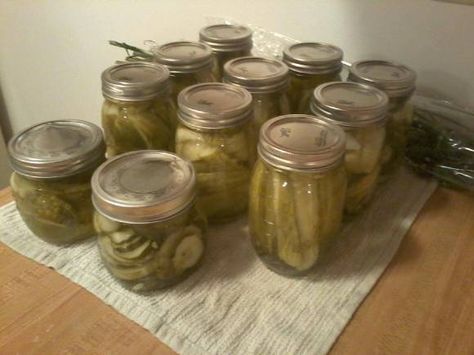 Horseradish garlic dill pickles. Radish Pickle Recipe, Pickling Brine, Crunchy Dill Pickles, Crispy Pickles Recipe, Dill Pickles Recipe, Homemade Horseradish, Horseradish Recipes, Garlic Dill Pickles, Canned Pickles