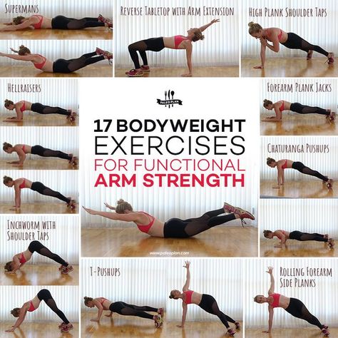 These 17 bodyweight arm exercises sculpt and tone your arms anywhere, anytime, no gym required. Body Weight Arm Workout, Arm Strength, Arm Workout Women, Arm Workouts, Bodyweight Exercises, Body Workout At Home, Upper Body Strength, At Home Workout Plan, Fitness Challenge