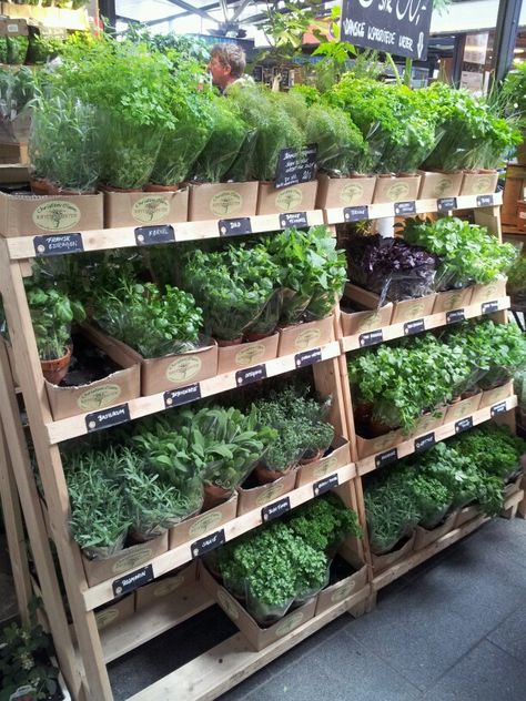 Herbs looking super lush not like our supermarket versions. Farmers Market Herbs, Herb Display, Farm Market Ideas, Vegetable Packaging, Grow Boxes, Garden Center Displays, Farmers Market Display, Herb Farm, Farm Gate