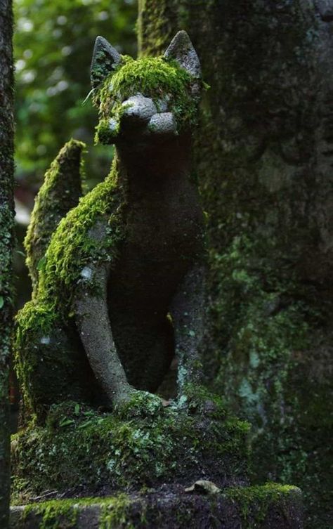 Moss Covered Cat Statue In The Garden : Grow Moss In Garden Statues Grow Moss, Elf Rogue, Dread Wolf, Solas Dragon Age, Growing Moss, Moss Covered, Moss Garden, Covered Garden, Dragon Age Inquisition