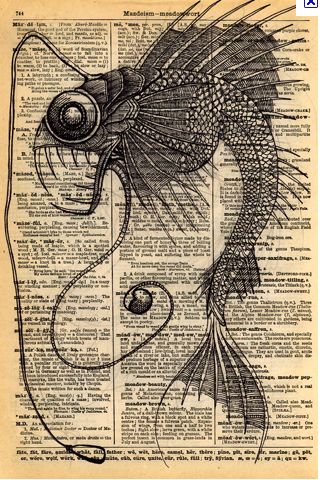 Book Drawings Ben Lawson, Half Tattoo, Steampunk Photography, Fish Illustration, Fish Drawings, Sea Horse, Scientific Illustration, Steampunk Art, Sea Monsters