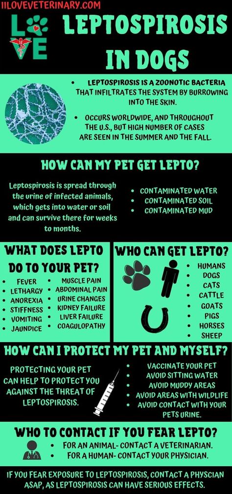 Vet Tech Nerd Book, Vet Tech Knowledge, Veterinary Emergency And Critical Care, Vet Receptionist Cheat Sheet, Vet Tech Tips, Vet Med Quotes, Vtne Prep Veterinary Technician, Vet Office Ideas, Vet Tech Cheat Sheet