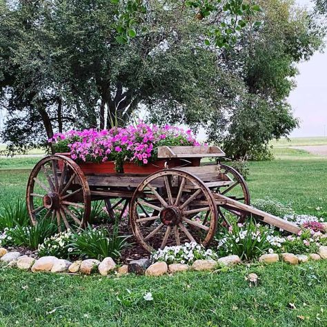 The Top 75 Flower Bed Ideas - Next Luxury Rustic Farm Landscaping Ideas, Wagon Landscaping Ideas, Vintage Flower Pots Outdoor, Farm Landscaping Ideas Country Living, Antique Farm Equipment Landscape, Antique Flower Bed Ideas, Rustic Yard Decor Landscaping Ideas, Old Wagon Garden Ideas, Old Truck Flower Bed