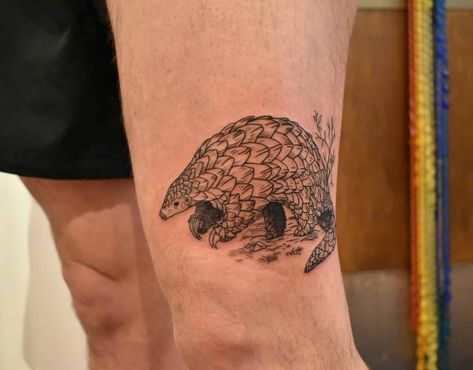 Pangolin Tattoo, Word Tattoos, Beautiful Tattoos, Animal Pictures, Tatting, Body Art, Tattoo Designs, Media, Tumblr