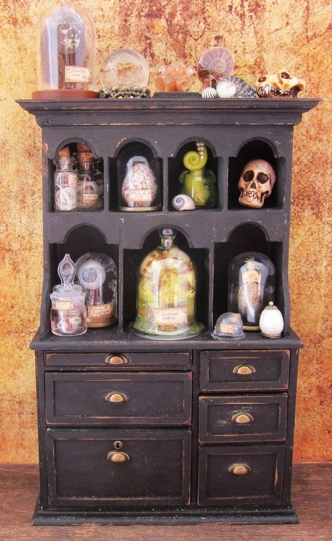 from https://www.etsy.com/ca/listing/997467083/miniature-cabinet-of-curiosities?ref=shop_home_active_6 Cabinet Of Curiosity, Curiosity Cabinet, Eagle Art, Cabinet Ideas, Cabinet Of Curiosities, Diy Cabinets, Miniature Crafts, Miniature Art, Art Pictures