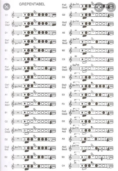 Music Theory Notes, Flute Fingering Chart, Flute Notes, Transverse Flute, Piano Tutorials Songs, Flute Sheet Music, Band Geek, Flute Music, Easy Piano