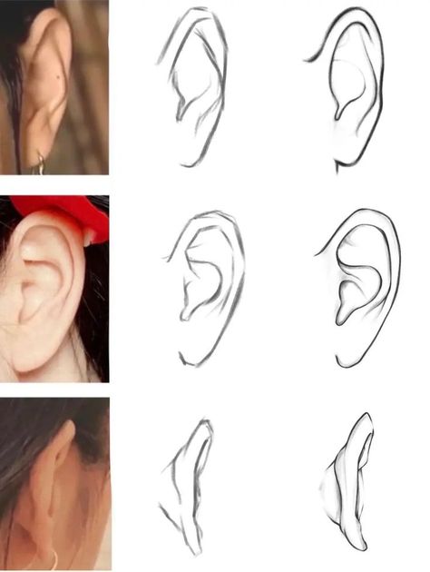 Ear Anime Drawing, Ear Drawing Front View, How To Draw Ears Anime, Ear Digital Art, Anime Ears Reference, Ear References Drawing, How To Draw A Ear, Ear Art Reference, How To Draw An Ear