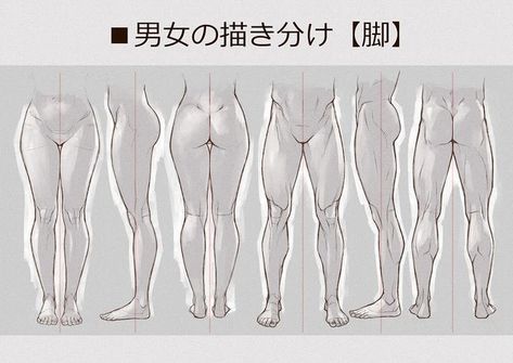 Leg Reference Female, Legs Art Drawing, Planes Of The Body Anatomy, Hip Drawing Reference, Digigrade Legs Drawing Reference, Female Legs Drawing, Female Poses Drawing Reference, Male Hips, Leg Drawings