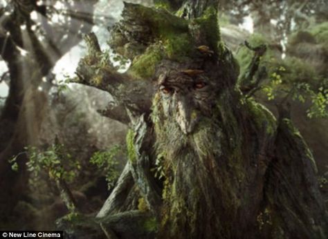 Treebeard (Ent) From Lord of the Rings Tree People, Into The West, Tree Spirit, The Two Towers, The Secret Garden, Jrr Tolkien, Legolas, Green Lantern, Green Man