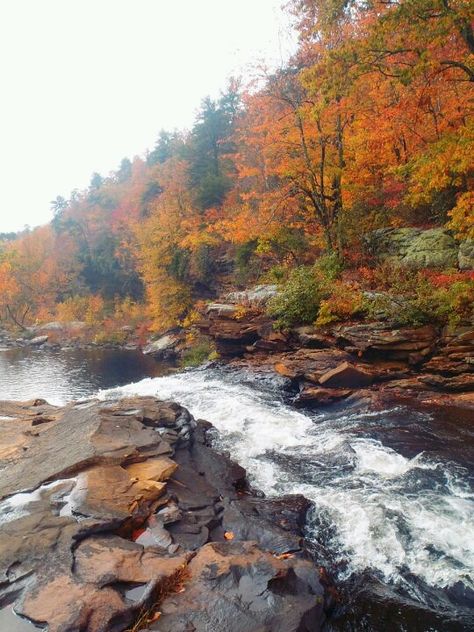 Little River Canyon Falls , Alabama Little River Canyon Alabama, Alabama Landscape, Alabama Waterfalls, North Alabama, Alabama Travel, River Canyon, Lookout Mountain, River Trail, Alabama State