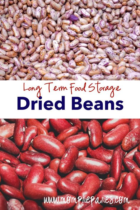 Long-term food storage is one of the easiest ways to prepare for any kind of emergency, such as a bug-out, weather emergency, or even for weeks when you may not be able to get to the grocery store – such as during a long illness or after having a baby.   Why dried beans should be on this list for you and your family! #foodprep #foodstorage #beans #pantry Food Storage Ideas, Dry Beans Recipe, Storing Food Long Term, Diy Canning, Emergency Preparedness Food Storage, Survival Food Storage, Emergency Preparedness Food, Preserving Foods, Fried Beans