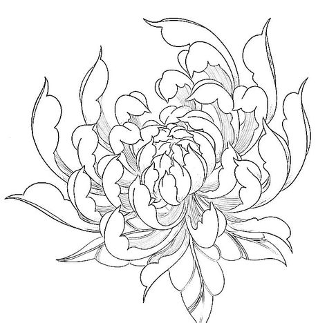 Japanese Flower Stencil, Neotrad Chrysanthemum, Chrysanthemum Tattoo Outline, Japanese Chrysanthemum Drawing, Chrysanthemum Stencil, Crisantemo Tattoo, Chrysanthemum Drawing, Realistisches Tattoo, Mandala Hand Tattoos