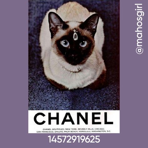 CHANEL CAT Cat Decals Bloxburg, Roblox Photo, Honolulu Beach, Scooby Doo Birthday Party, Roblox Decals, Roblox Aesthetic, Decals Codes, Roblox Image Ids, House Decals