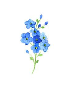 Forget Me Nots Flowers, Forget Me Not Tattoo, Tattoo Watercolor, Illustration Tattoo, Flower Chain, Blue Tattoo, 그림 낙서, Flowers Tattoo, Flower Blue