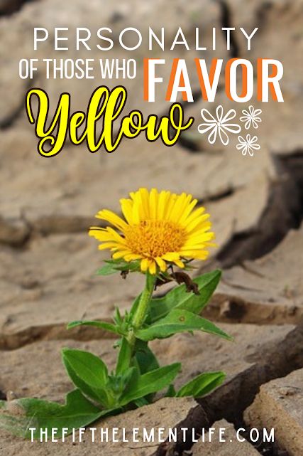 Personality Of Those Who Favor Color Yellow The Color Yellow, Zest For Life, Color Meanings, The Favorite, Personality Traits, Color Shapes, World Of Color, Sun Kissed, Yellow Color