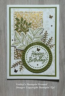 Lesley's Stampin Ground : Notes Of Nature Su Notes Of Nature, Su Notes Of Nature Cards, Split Card Textures Stampin Up Cards, Natures Sweetness Stampin Up Cards, Notes Of Nature Stampin Up Cards, Stampin Up 2024-2025, Nature Card, Masculine Birthday Cards, Wink Of Stella