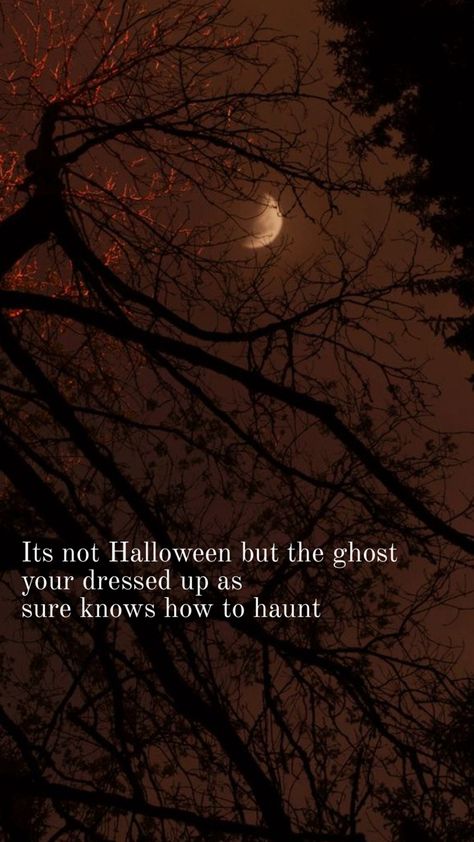 Fall wallpaper Noah Kahan Wallpaper, Halloween Lyrics, Noah Kahan, Lyrics Wallpaper, Quote Backgrounds, Celebration Quotes, I'm Just A Girl, Fall Wallpaper, Halloween Stuff