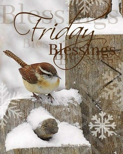 Friday Morning Greetings And Blessings, Happy Friday Winter, Classroom Agenda, Winter Friday, Friday Morning Greetings, Happy Friday Pictures, Happy Weekend Images, Weekend Blessings, Winter Blessings