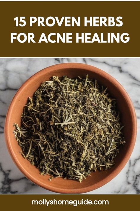 15 Proven Herbs for Acne Healing Thyme For Acne, Herbs For Acne Clear Skin, Tea For Acne Clear Skin, Herbs For Acne, Clear Acne Naturally, Treat Acne Naturally, Herbal Oils, Bad Acne, Natural Acne Remedies