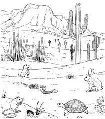 desert drawing HY | Desert drawing, Desert art, Drawings School Deserts, Desert Drawing, Desert Biome, Desert Ecosystem, Desert Dunes, Western Artwork, Desert Animals, Desert Scene, Desert Life