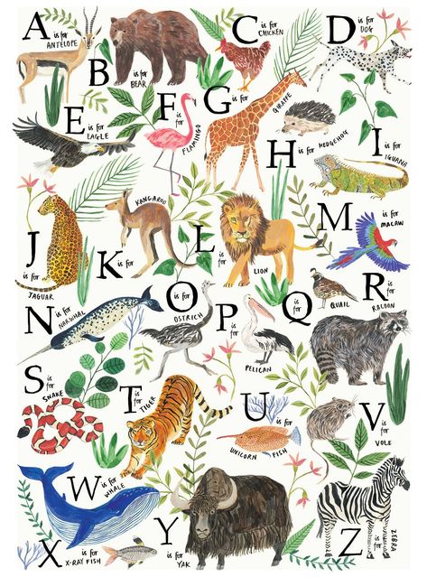 Miranda Sofroniou Illustration | Animal Alphabet Miranda Sofroniou, Abc Nursery, Childrens Alphabet, Abc Alphabet, Art Folder, Alphabet For Kids, Alphabet Design, Animal Alphabet, Alphabet Poster