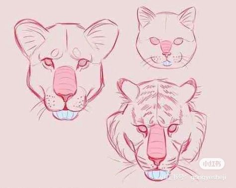 Draw Cats, Cat Drawing Tutorial, Cat Anatomy, Big Cats Art, Cat Sketch, Animal Study, Creature Drawings, Creature Concept Art, Animal Sketches