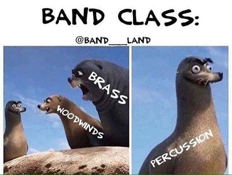 Drummer Humor, Funny Band Jokes, Band Puns, Musician Jokes, Marching Band Jokes, Marching Band Memes, Musician Humor, Marching Band Humor, Band Jokes