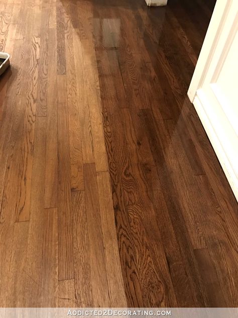 Staining Hardwood Floors, Oak Floor Stains, Oak Wood Texture, Modern Wood Floors, Red Oak Hardwood Floors, Living Room Hardwood Floors, Red Oak Floors, Red Oak Hardwood, Floor Refinishing