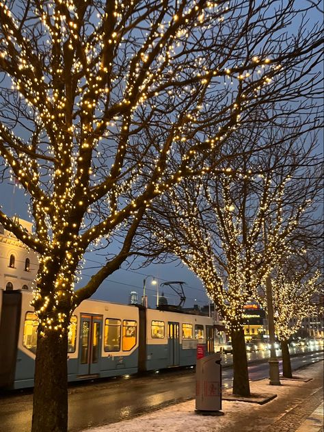 a picture of gothenburg, sweden, shows scandinavian streets in winter. trees brightly lit by fairy lights in a strong yellow light colour, in front of a passing tram filled with people which is in white and blue with yellow light coming from inside. aesthetics: scandinavian winter, fairy lights, gothenburg city, christmas, aesthetic city, beautiful, sweden Gothenburg Sweden Winter, Gothenburg Winter, Gothenburg Christmas, Gothenburg Aesthetic, Sweden Aesthetic, Sweden Christmas, Norwegian Christmas, Gothenburg Sweden, Sweden Travel