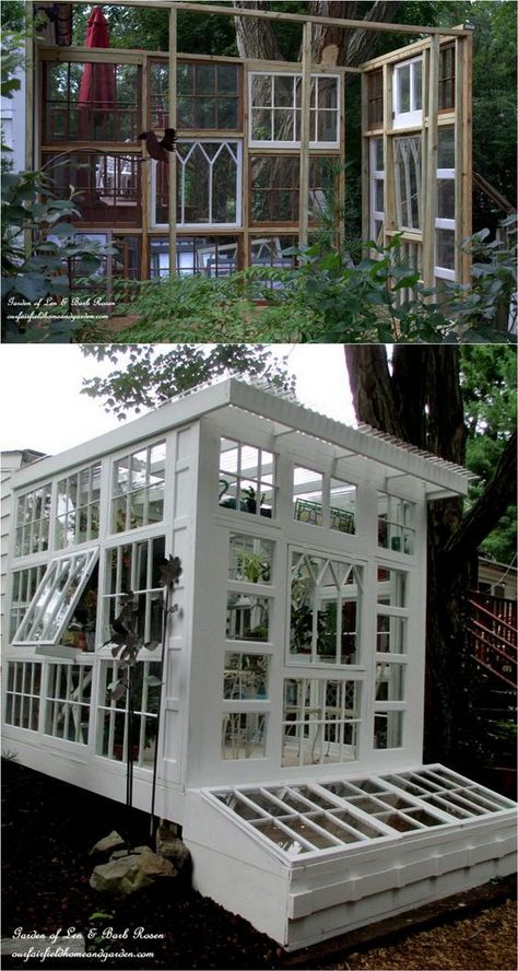 Greenhouse construction using old windows! Here's how to make it yourself from Our Fairfield Home and Garden! Windows Greenhouse, Greenhouse Construction, Window Greenhouse, Greenhouse Shed, Home Greenhouse, Wooden Greenhouses, Greenhouse Ideas, Backyard Greenhouse, Small Greenhouse