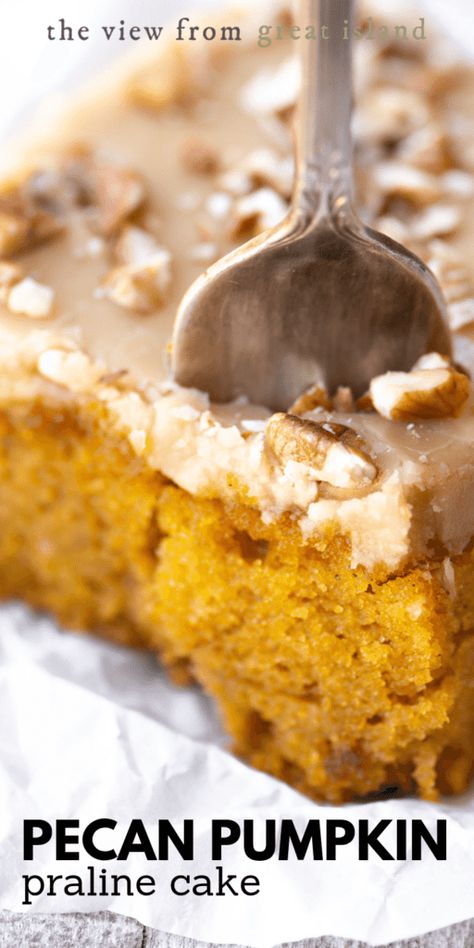 Praline Frosting, Pumpkin Snack, Praline Cake, Pumpkin Sheet Cake, Pecan Praline, Pumpkin Cake Recipes, Pecan Pralines, Pumpkin Recipes Dessert, Fall Cakes