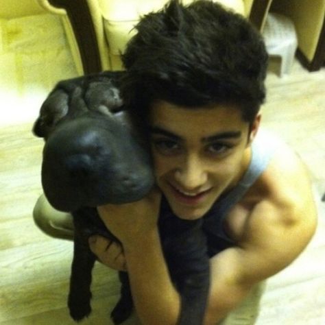 Is it just me, or does Zayn's dog look like a burnt marshmallow? Zany Malik, One Direction Facts, Zayn Malik Photos, Zayn Malik Pics, I Love One Direction, Zayn Malik, Larry Stylinson, On The Floor, Celebrities Male