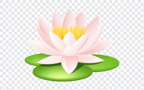 Water Lily Transparent PNG Water Splash Png, Sick Emoji, Flower Tattoo Sleeve Men, Nymphaea Lotus, Wings Png, Lotus Mandala, Flower Tattoo Sleeve, Sunflower Png, Tattoo Designs For Girls