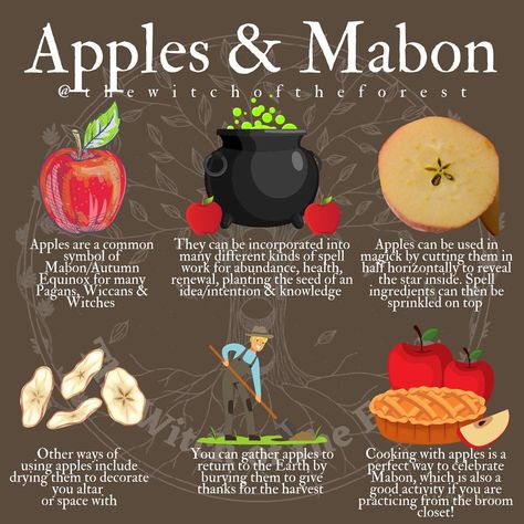 🍎A𝕡𝕡𝕝𝕖𝕤 & M𝕒𝕓𝕠𝕟🍎 Apples are a common symbol of Mabon/Autumn Equinox. In magickal terms they are mostly associated with abundance, health an… | Instagram Autumnal Equinox Celebration, Wicca Holidays, Halloween Nature, Witches Wheel, Wiccan Sabbats, Kitchen Witch Recipes, Autumn Witch, Broom Closet, Samhain Halloween