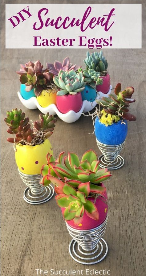 Ceramic egg planters are perfect for planting small succulents. Make your own DIY succulent Easter Eggs! :) After Easter is long past, re-plant the succulents in your garden to grow and thrive. Make a new tradition!  #succulents #succulentdiy #succulentplanters Egg Shell Planters, Easter Plants, Diy Porch Decor, Easter Place Settings, Ceramic Egg, Hunny Bunny, Succulent Soil, Diy Porch, Diy Pots