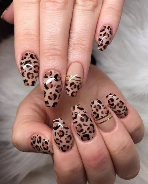 Tiger Nail Art, Firework Nail Art, Firework Nails, Tiger Nails, Print Nail Art, Animal Print Nails Art, Light Elegance, Gold Glitter Nails, Leopard Print Nails