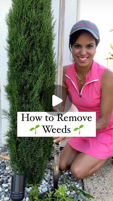 Kamana Bhaskaran on Instagram: "✨ Comment ‘Weeder’ for the link to this game changing weeding tool right to your inbox!

Never pull weeds again without this - weeding tool picks up evening the toughest weeds right from the root
1️⃣ No more  bending, pulling, or kneeling thanks to this long bamboo handle 
2️⃣ The weeder has a 4-Claw design that easily pulls weeds right from the root
3️⃣ Just stick, press, and lean - No More Weeds - give this a try and follow for more Home Hacks

#home #homehacks #backyard #weeding #garden #reelitfeelit #gardening" Killing Weeds With Vinegar Diy, Vinegar For Weeds, Pulling Weeds Hack, Vinegar Recipe For Killing Weeds, Pulling Weeds, Weeding Tools, Bamboo Handles, Weeding, Stand Up